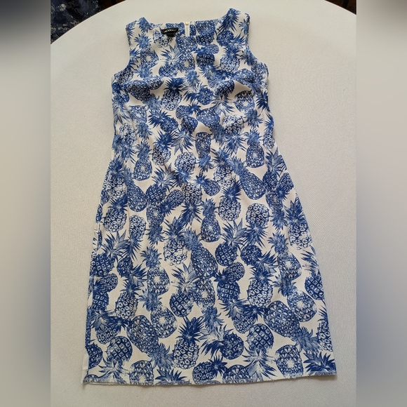 Alyx White Dress with Blue Pineapple Print. Size 6 - Picture 2 of 14